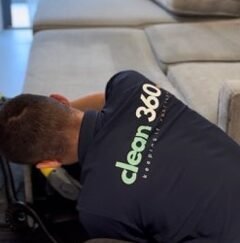 Sofa Cleaning